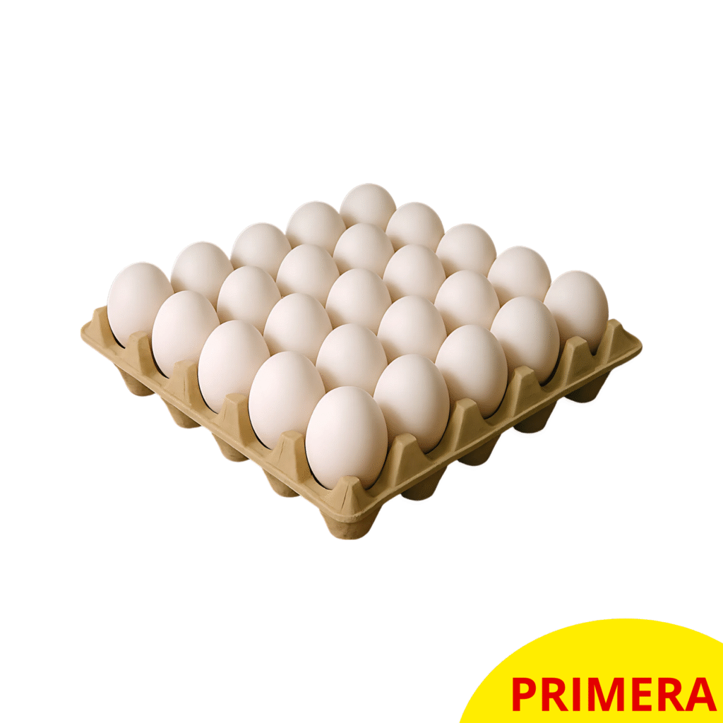 CAJA HUEVO PRIMERA BLANCO BANDEJA 30 UNIDADES